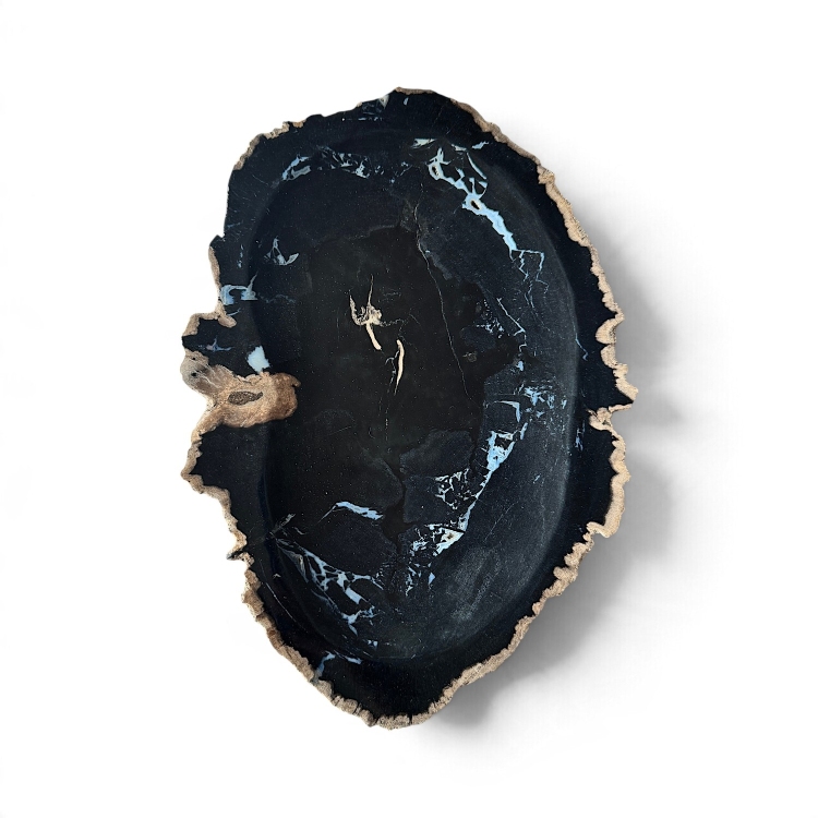 Natural Petrified Wood Tray DIJON