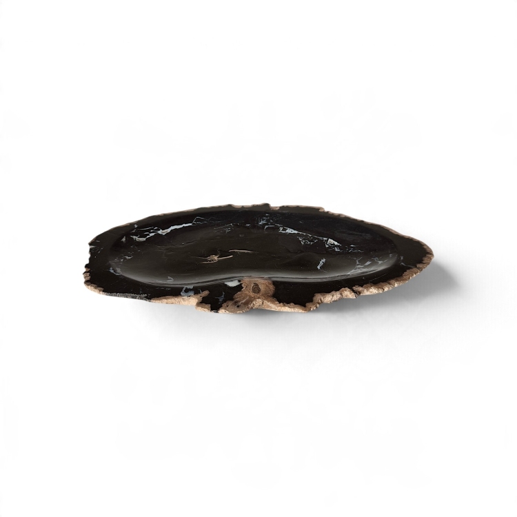 Decorative Petrified Wood Tray DIJON