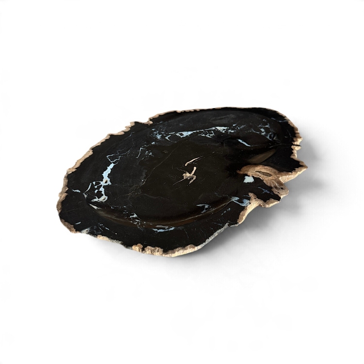 Organic Petrified Wood Tray DIJON