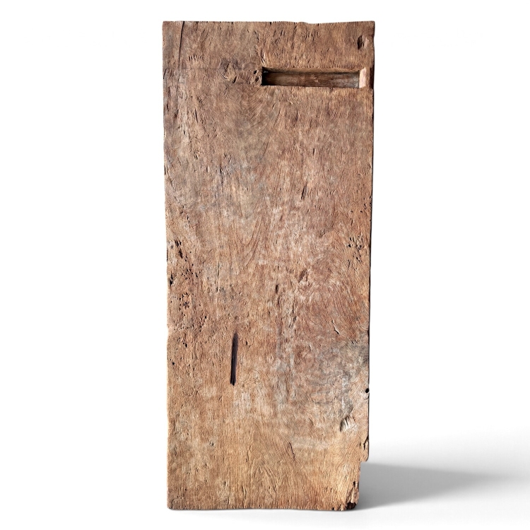 Sculptural Teak Door CIVETTA