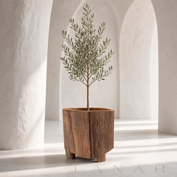 Decorative Teak Planter BORACAY