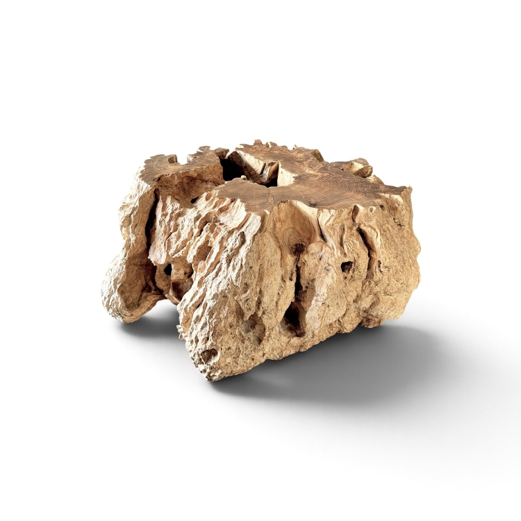 Organic Teak Root Table VERNAZZA