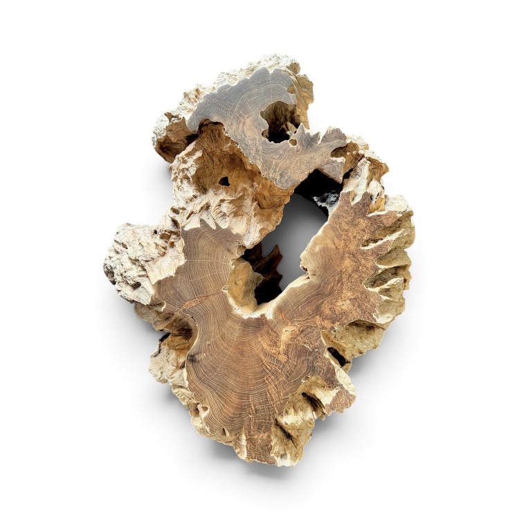 Distinctive Teak Root Table VERNAZZA