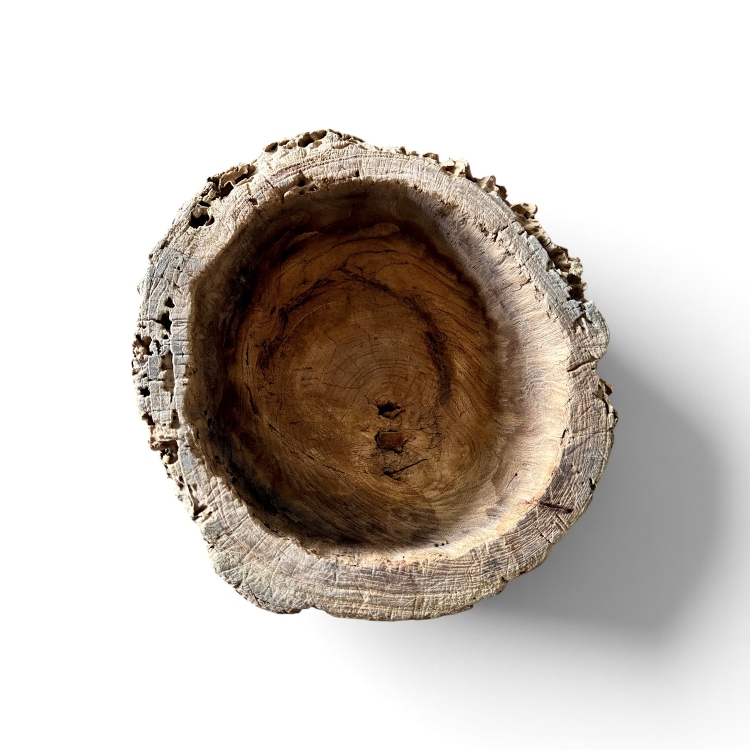 Exclusive Teak Container KASAI