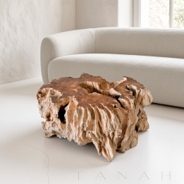 Teak Root Coffee Table VERNAZZA