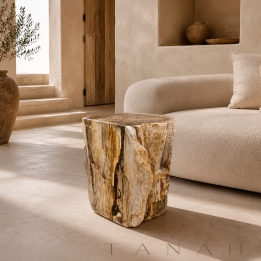 Petrified Wood Stool MATERA