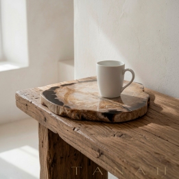 Decorative Petrified Wood Plate NICE