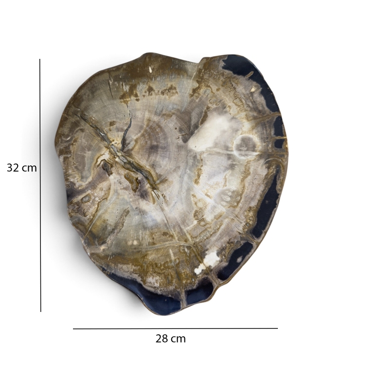 Natural Petrified Wood Plate NIZA