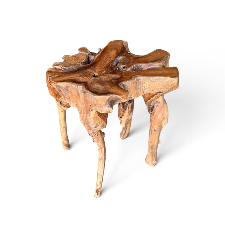 Organic Teak Root Coffee Table CUMI