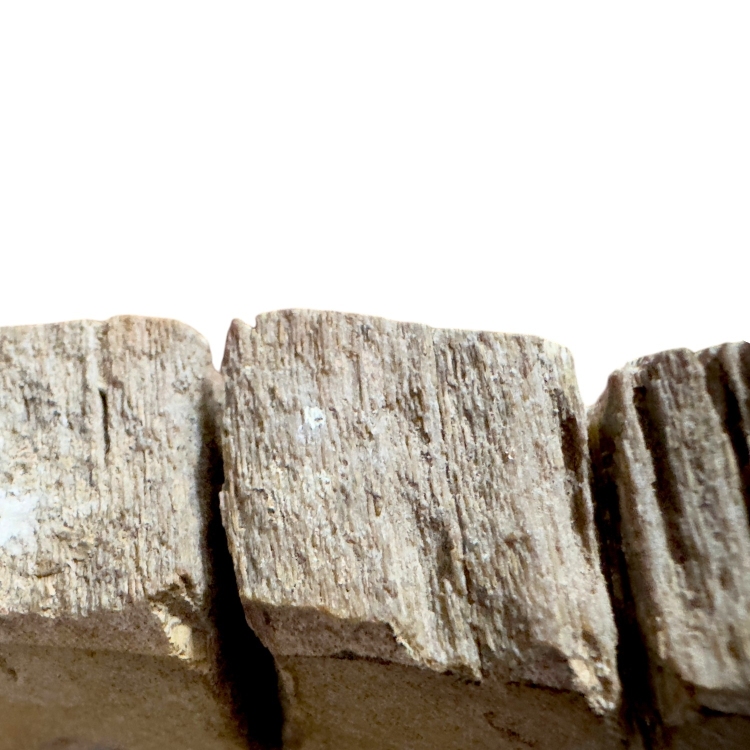 Pieza de Madera Petrificada sobre Base Metálica AREZZO