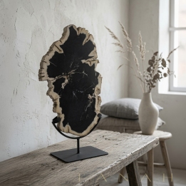 Madera Petrificada sobre Soporte AREZZO