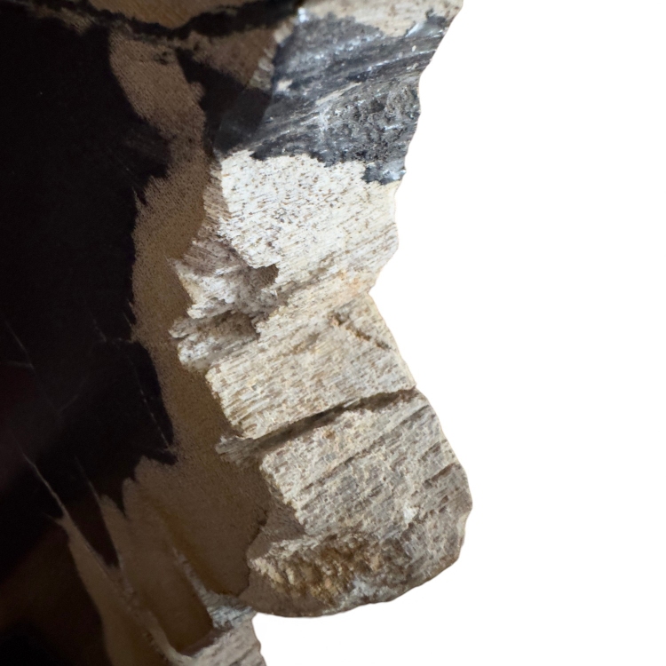 Petrified Wood on Metal Stand AREZZO