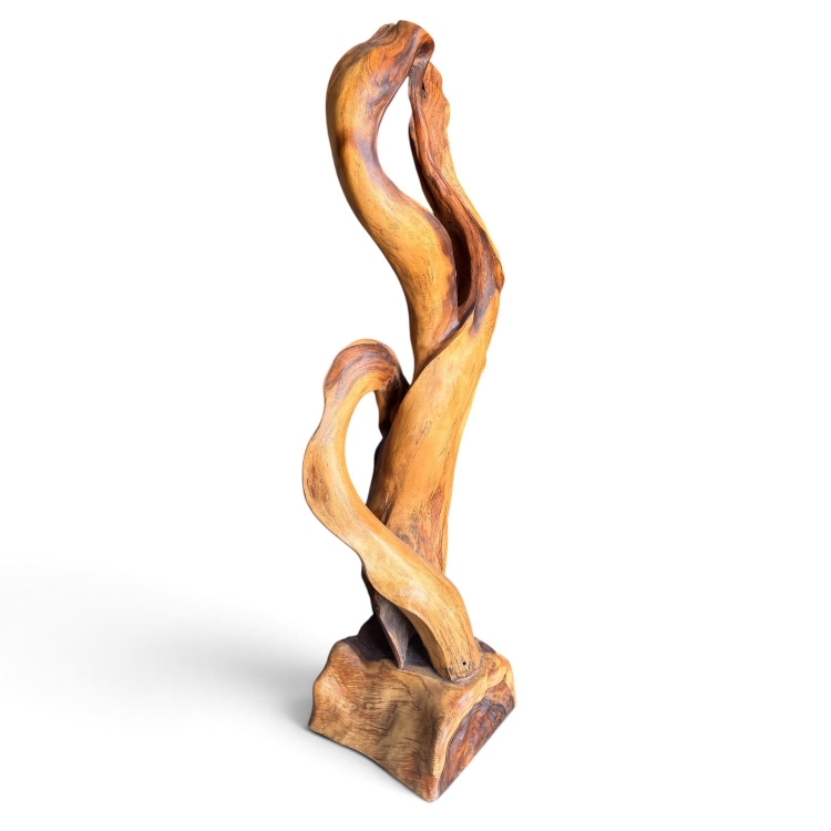 Escultura Organica de Madera BEGUR