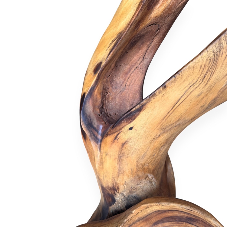 Natural Wood Sculpture BEGUR