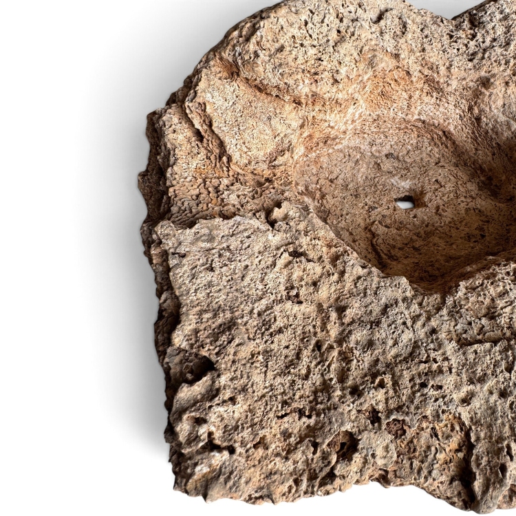 Organic Limestone Bonsai Planter ALGUER