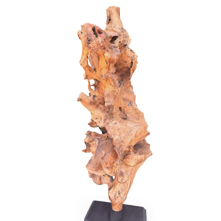 Large Teak Root Sculpture SAONA