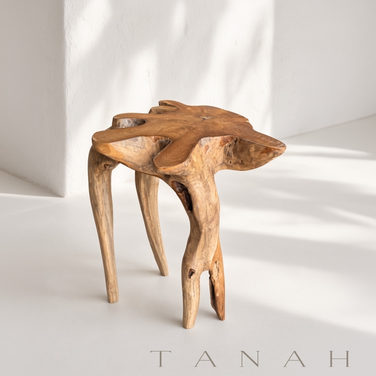 Teak Root Table PORTOFINO