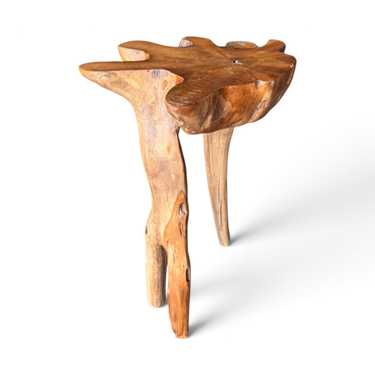 Teak Root Table PORTOFINO - Tanah