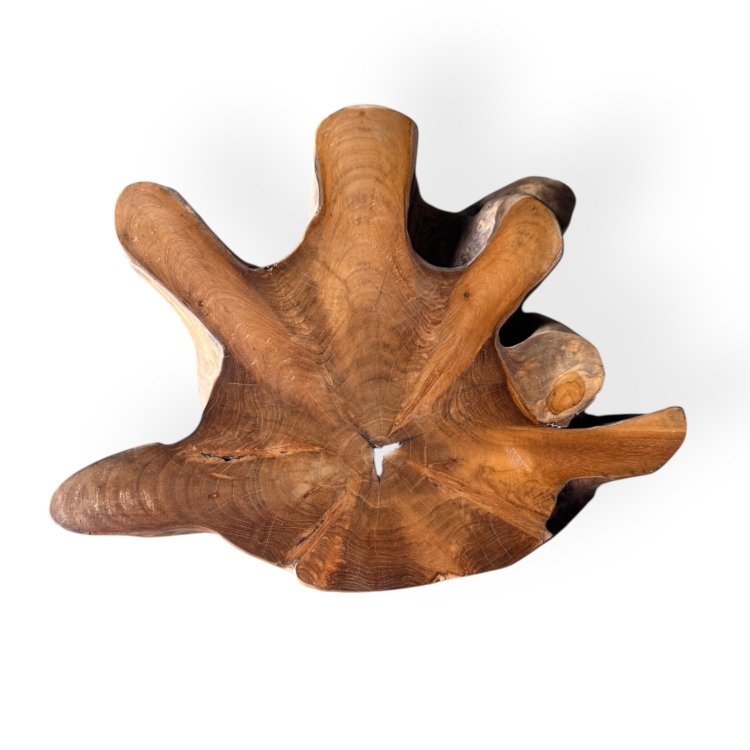 Teak Root Table PORTOFINO - Tanah