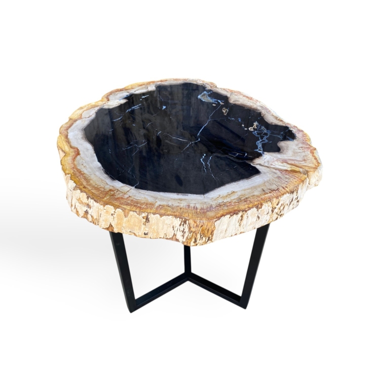 Natural Petrified Stone Table TARIFA