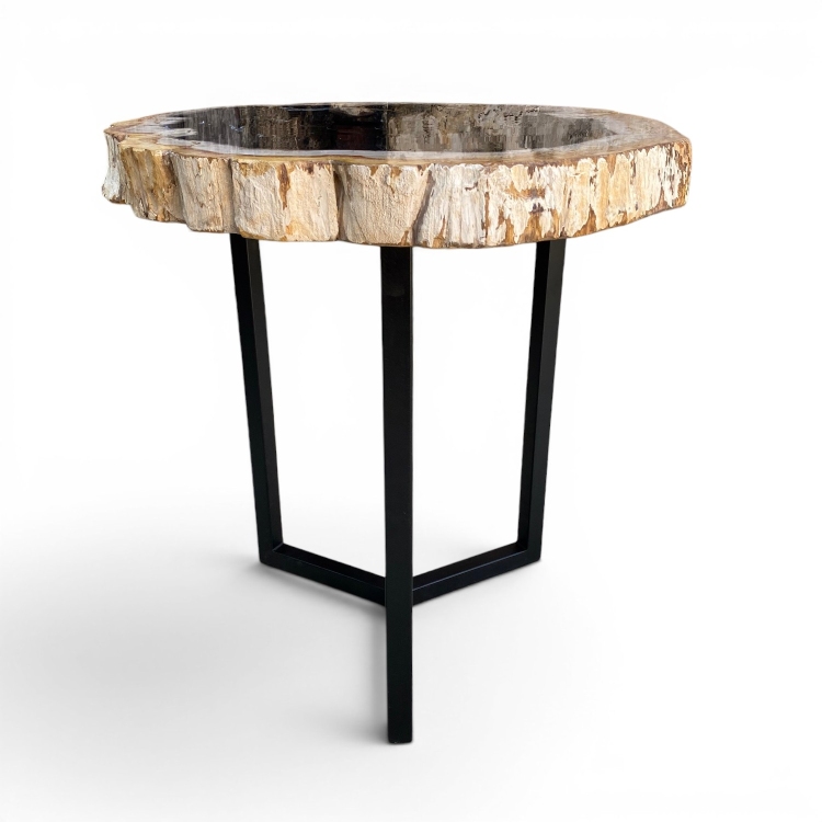 Petrified Wood Coffee Table TARIFA