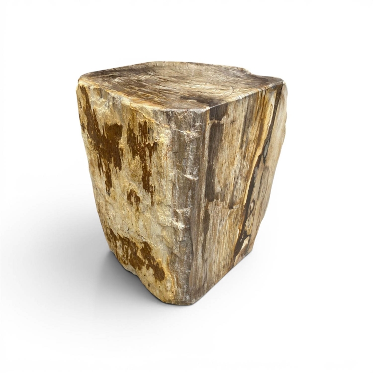 Taburete de Madera Petrificada MATERA