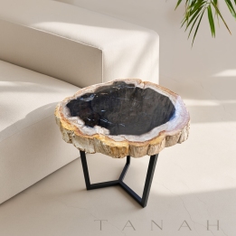 Petrified Wood Table TARIFA