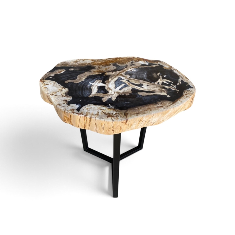 Mesa de Madera Petrificada Xilopalo