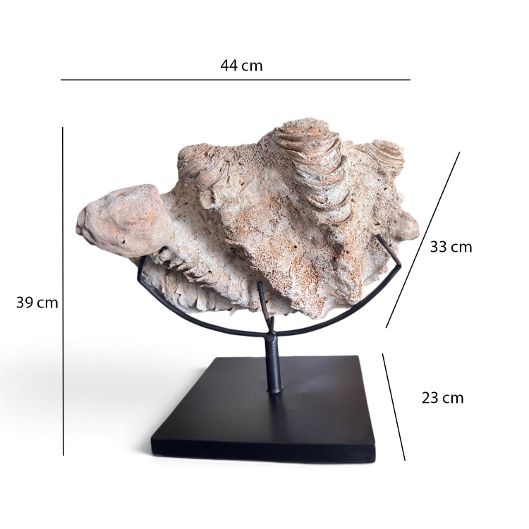 Shell on Stand PEVЕRO