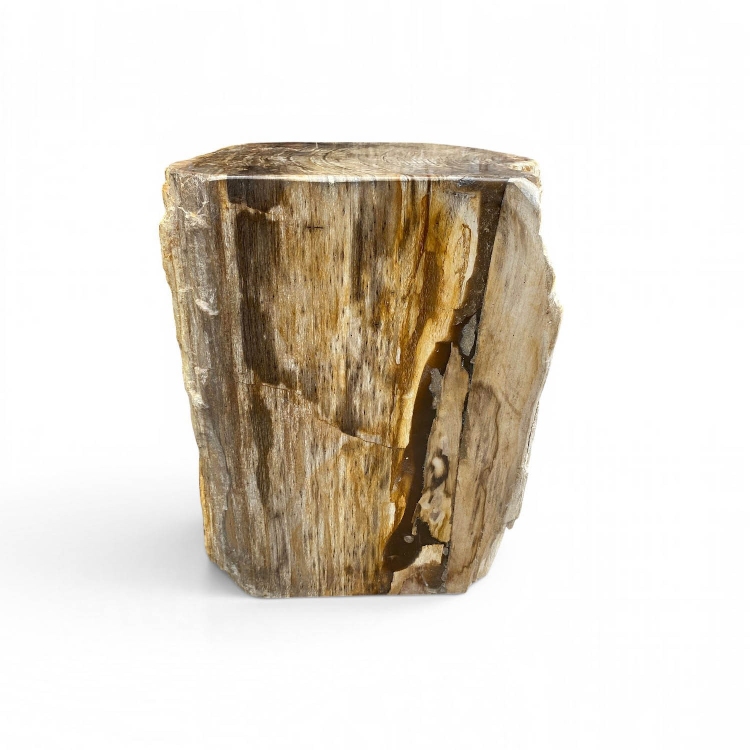 Petrified Wood Stool MATERA