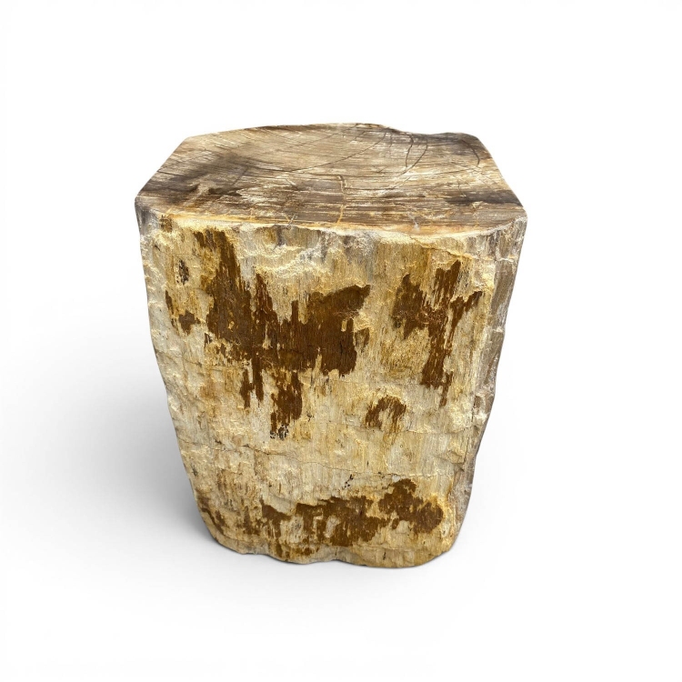 Taburete de Madera Petrificada MATERA
