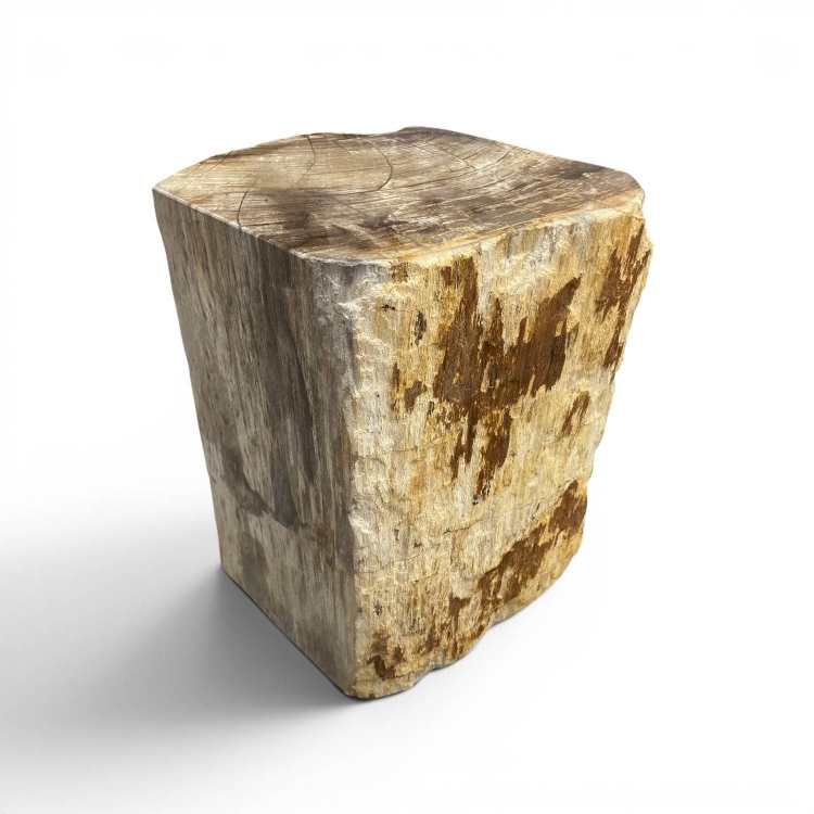 Taburete de Madera Petrificada MATERA