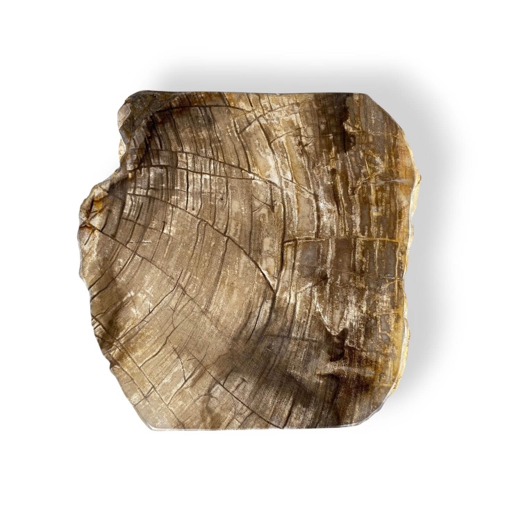 Taburete de Madera Petrificada MATERA