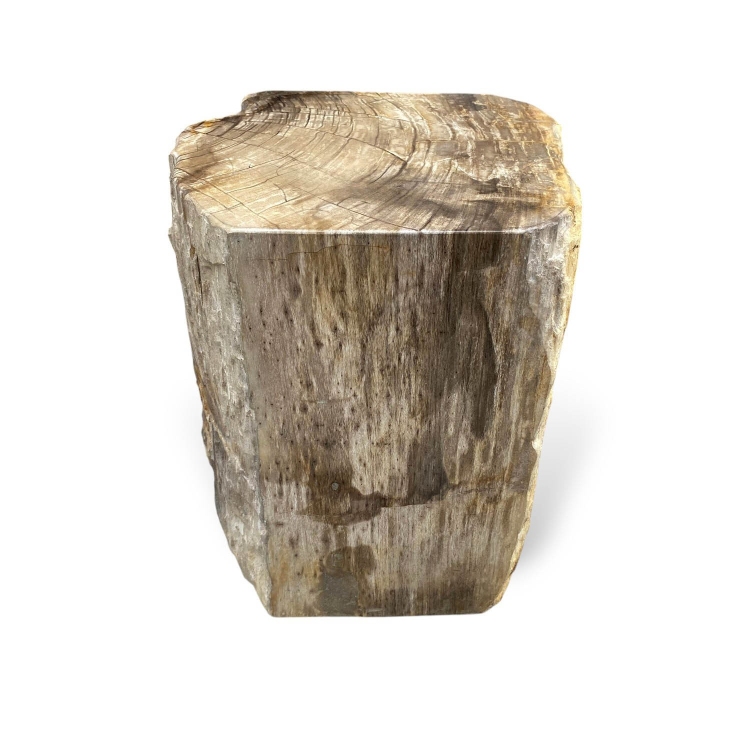 Petrified Wood Stool MATERA
