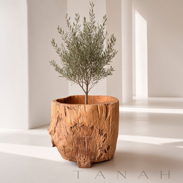 Decorative Teak Planter Boracay