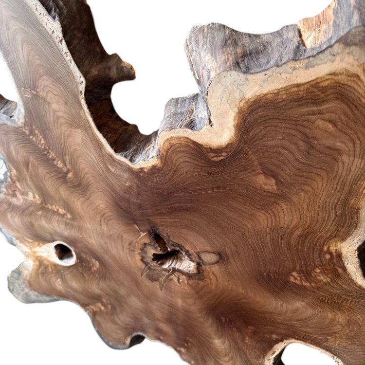 Organic Wood Sculpture LUGANO