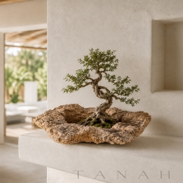 Maceta para Bonsai de Piedra Caliza ALGUER