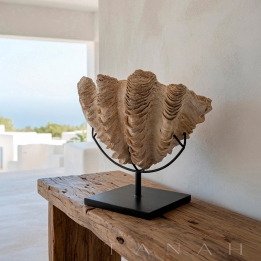 Concha Natural Grande SICILIA