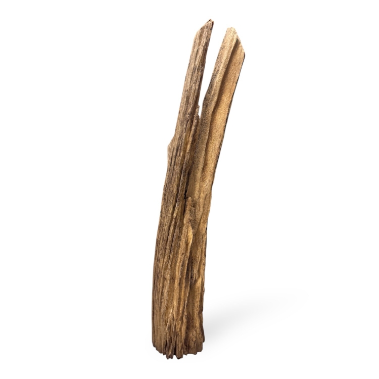 Escultura de Suelo en Madera Driftwood ZAMBIA