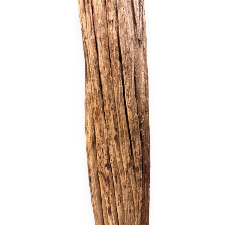 Escultura Driftwood ZAMBIA