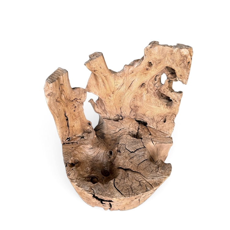 Sculptural Teak Seat BELMONT