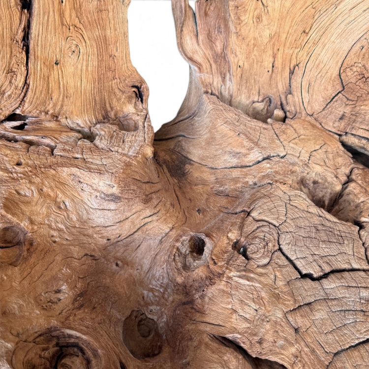 Sculptural Teak Armchair BELMONT