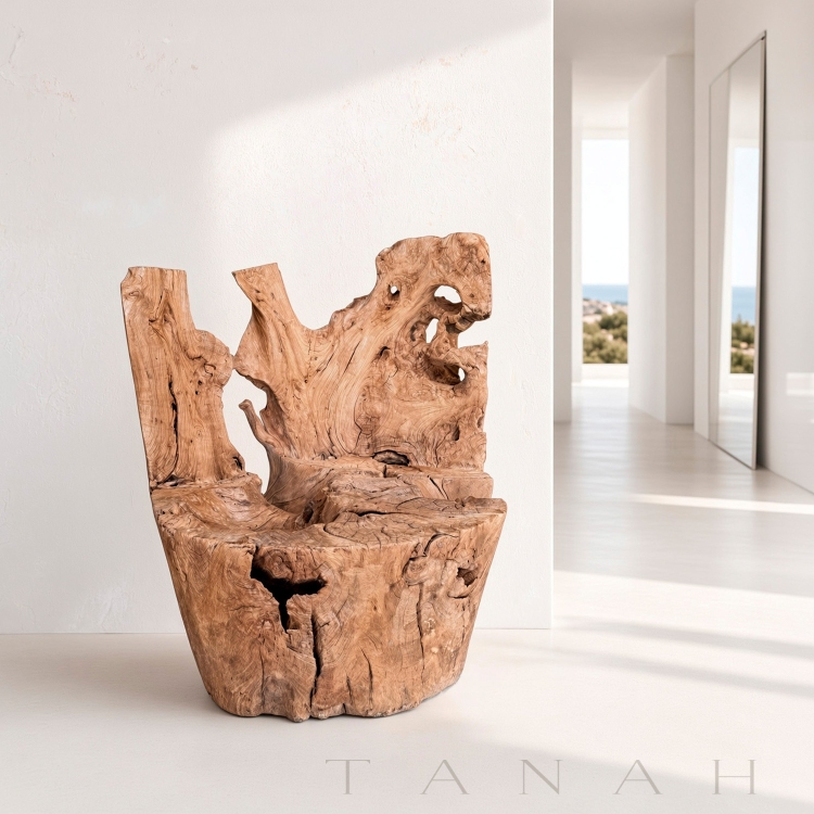Asiento Escultorico de Teca Antigua BELMONT