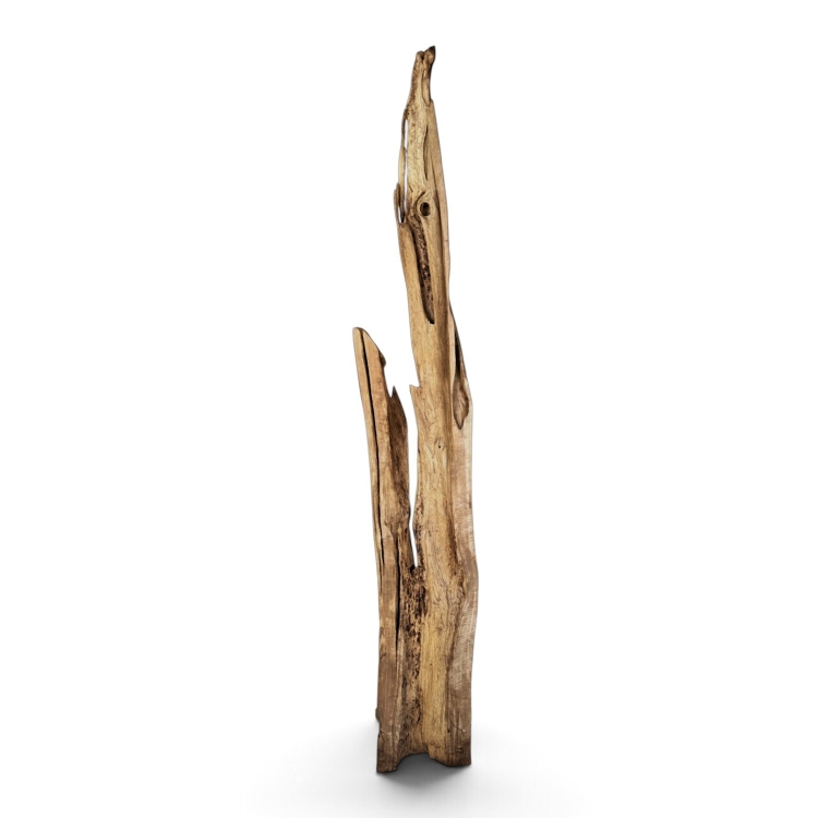 Escultura Natural de Teca Lume