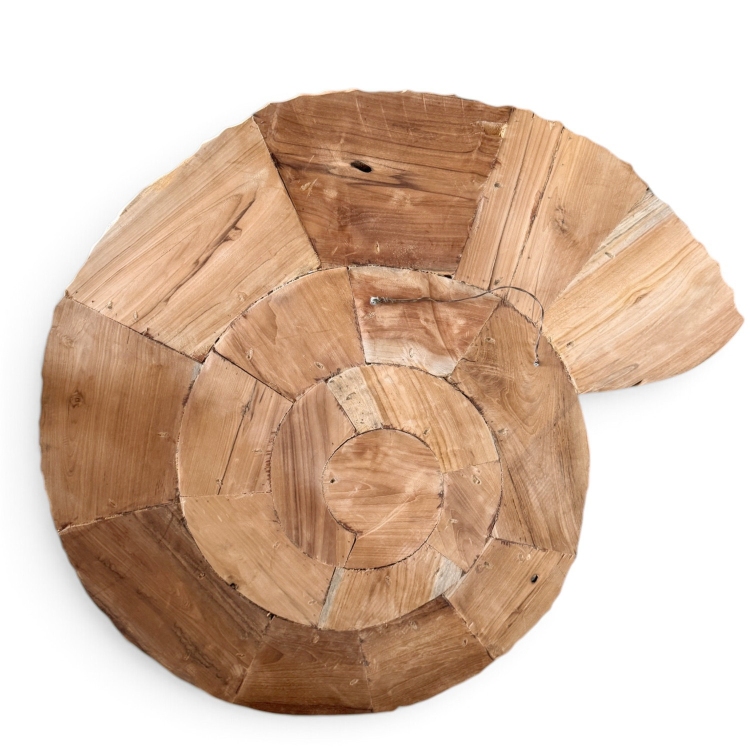 Suar Wood Wall Ammonite LYME