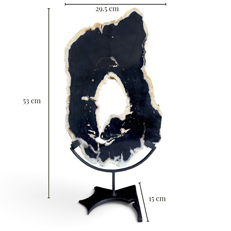 Madera Petrificada Decorativa NOIR