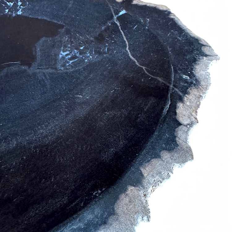 Sculptural Petrified Wood Tray BRUMA