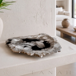 Organic Tray in Petrified Wood LAURENT